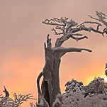 카페 프로필 이미지