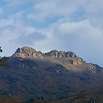 카페 프로필 이미지