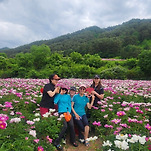 카페 프로필 이미지