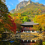 카페 프로필 이미지