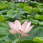 카페 프로필 이미지