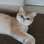 카페 프로필 이미지