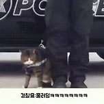 ???: 나보고 경찰묘를 하라고??? 이미지