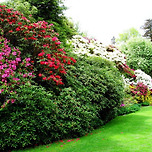 여름도 간다 이미지