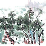 숲속에서 이미지