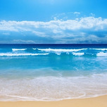 ♬ 당신의 나는..... 이미지