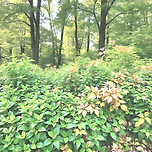 여름과 가을사이 이미지