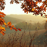 가을빛 그리움 이미지