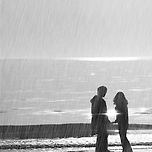 순정의 사나이 이미지