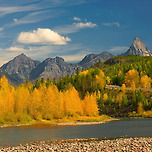 가을빛 설렘 이미지