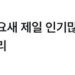 이 중에 콘서트 티켓 준다면 당신의 선택은? (판매불가) 이미지