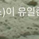 갤럭시 쓰는 지코보다 충격인 덱스 인스타그램 이미지
