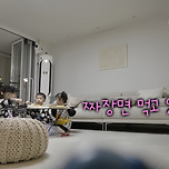 짜장면 먹다 싸우는 하하네 아들들과 달래는 막내 송이 이미지