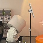 본인데뷔 15주년 전시회에 인형탈 쓰고 나타난 요정 (주어 : 아이유) 이미지