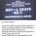 일본데뷔 안해서 일본어가사도 없는데 도쿄돔 입성확정된 에스파,, 이미지