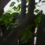 노래 은근히 좋은 엔믹스 밴드 스타일 수록곡 이미지