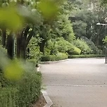 공주처럼 달리는 펭수 이미지