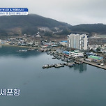 230420 도시횟집 - (4일차) 부시리와 전갱이 낚시 이미지