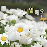 230421 나혼자산다 - 코쿤 나래 일일데이트 이미지