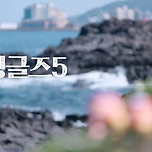 출연진 비주얼 역대급 시즌이라는 돌싱글즈5 이미지