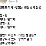 한반도에서 독 있는 생물들의 운명 이미지