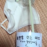 10살 어린이가 발명한 생존 마스크 이미지