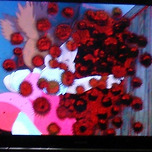 고장난 티비로 이웃집토토로를 봤더니... 이미지