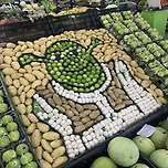 마트에 간 슈렉 이미지