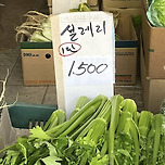 보기만해도 설레이는 바로 그것? 이미지