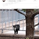 립밤 듬뿍 얹고 잔 지 세 달 정도 됐는데 이미지