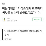 다이소에서 로즈마리 씨앗을 샀는데 방울토마토가..? 이미지