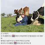 코로나로 인해 외국에서 크게 유행 중인 힐링 프로그램 이미지