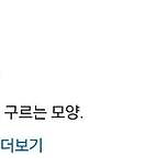 포켓몬으로 알게된 맞춤법 ㄷㄷ 이미지