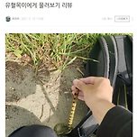 독사에게 물려보기 리뷰 이미지