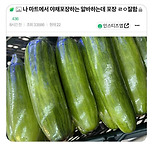 나 마트에서 야채포장 알바하는데 ㄹㅇ잘함 이미지
