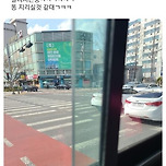 105번 버스 기사 아저씨가 폭주한 이유 이미지