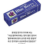 블루베리 향의 진실 이미지