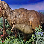 롯데월드 민속박물관 후기 이미지