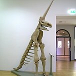 얼렁뚱땅 복원하기 이미지