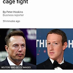 일론 머스크 vs 마크 저커버그 현피가 현실이라니 이미지