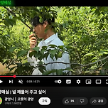 특산물 홍보를 위해 최선을 다하는 공무원 근황 이미지