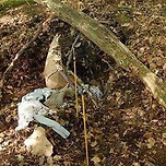 (약혐)목숨이 위험한 상황에서 가까스로 살아남은 사람들의 실화 이야기 이미지