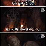 50년간 산 속에서 사료를 먹으며 살아 온 할아버지 이미지