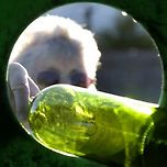 유리와 플라스틱: 어떤 것이 환경에 더 좋을까? 이미지