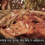 기후위기로 김치가 사라질수도 있다고... 이미지