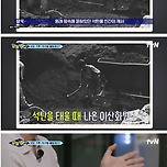 지구 온도 1.2도 상승을 가장 직관적으로 알 수 있는 비유 이미지