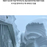 무서운 기후위기 근황 이미지