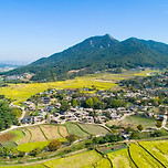 GM작물, 식량위기 구원투수 될까 이미지