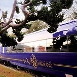 한국에서 대박 친 효도여행 상품 이미지