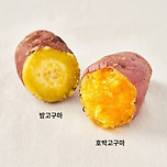 밤고구마 vs 호박고구마 이미지
